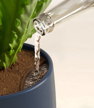 Load image into Gallery viewer, Deep Navy stand:all