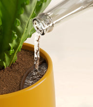 Load image into Gallery viewer, Mustard stand:all