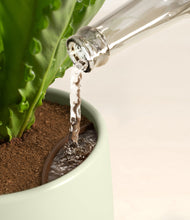 Load image into Gallery viewer, Turquoise stand:all