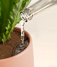 Load image into Gallery viewer, Calm Rose stand:all