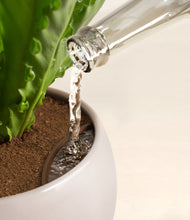 Load image into Gallery viewer, Winding River stand:all