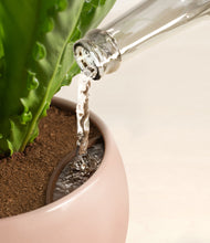 Load image into Gallery viewer, Calm Rose stand:all