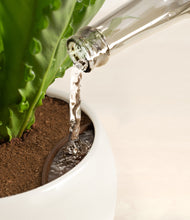 Load image into Gallery viewer, Shiny EggWhite stand:all