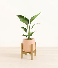 Load image into Gallery viewer, Gentle Pink stand:bamboo