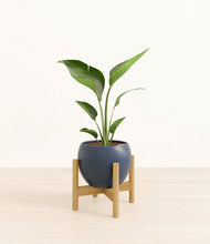 Load image into Gallery viewer, Deep Navy stand:bamboo