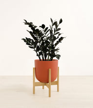 Load image into Gallery viewer, Earth Red stand:bamboo