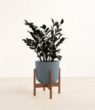 Load image into Gallery viewer, Iron Gray stand:walnut