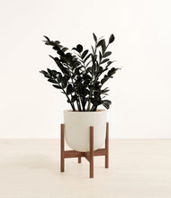 Load image into Gallery viewer, Natural Bamboo stand:walnut