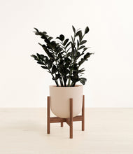 Load image into Gallery viewer, Sandy Pink stand:walnut