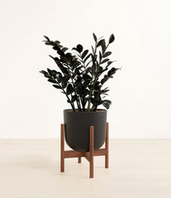 Load image into Gallery viewer, Stone Black stand:walnut