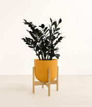 Load image into Gallery viewer, Sunset Orange stand:bamboo