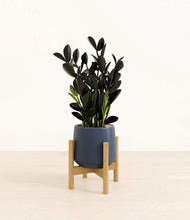 Load image into Gallery viewer, Deep Navy stand:bamboo
