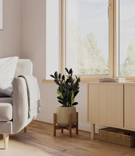 Load image into Gallery viewer, Olive stand:walnut