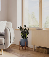 Load image into Gallery viewer, Deep Navy stand:walnut