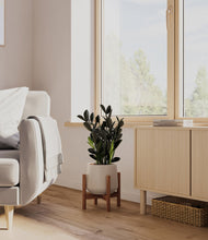 Load image into Gallery viewer, Eternal Gray stand:walnut