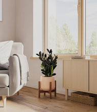 Load image into Gallery viewer, Gentle Pink stand:walnut