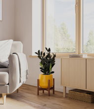 Load image into Gallery viewer, Mustard stand:walnut