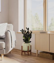 Load image into Gallery viewer, Turquoise stand:walnut