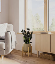 Load image into Gallery viewer, Olive stand:bamboo