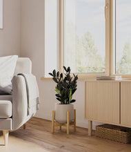 Load image into Gallery viewer, Eternal Gray stand:bamboo