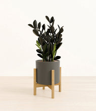 Load image into Gallery viewer, Dark Olive stand:bamboo