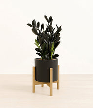 Load image into Gallery viewer, Black stand:bamboo