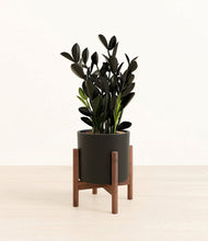 Load image into Gallery viewer, Black stand:walnut