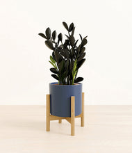 Load image into Gallery viewer, Deep Navy stand:bamboo