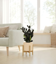 Load image into Gallery viewer, Cream stand:bamboo