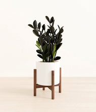 Load image into Gallery viewer, White stand:walnut