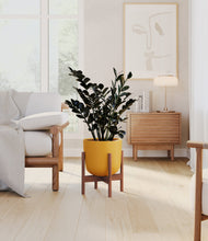 Load image into Gallery viewer, Sunset Orange stand:walnut