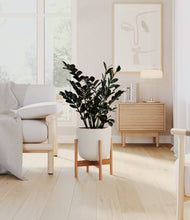 Load image into Gallery viewer, Natural Bamboo stand:bamboo