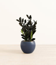 Load image into Gallery viewer, Deep Navy*****Profile