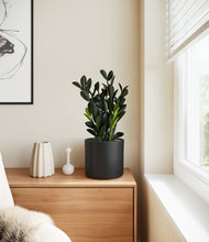 Load image into Gallery viewer, Black