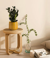 Load image into Gallery viewer, Mustard