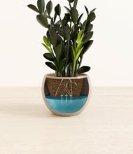 Load image into Gallery viewer, Desert Brown