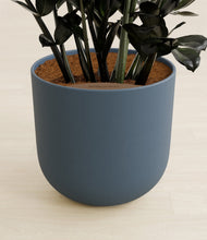 Lade das Bild in den Galerie-Viewer, Iron Gray stand:all
