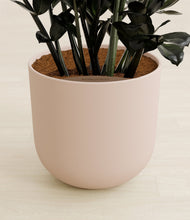 Lade das Bild in den Galerie-Viewer, Sandy Pink stand:all