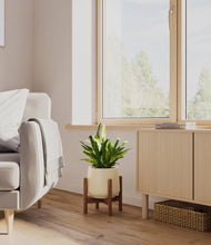 Load image into Gallery viewer, Almond Green stand:walnut