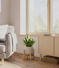 Load image into Gallery viewer, Eternal Gray stand:bamboo