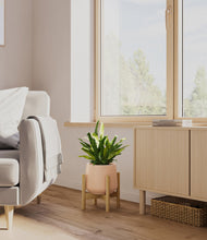Load image into Gallery viewer, Gentle Pink stand:bamboo