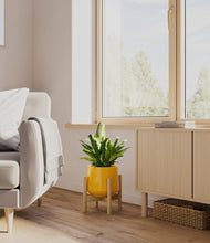 Load image into Gallery viewer, Mustard stand:bamboo