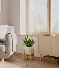 Load image into Gallery viewer, Turquoise stand:bamboo