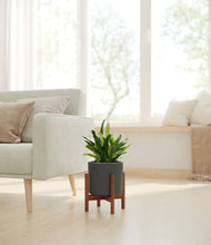 Load image into Gallery viewer, Dark Olive stand:walnut