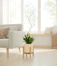 Load image into Gallery viewer, Cream stand:bamboo