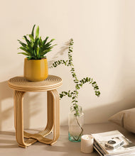 Load image into Gallery viewer, Mustard