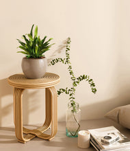 Load image into Gallery viewer, Desert Brown