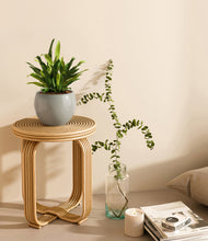 Load image into Gallery viewer, Deep Ocean