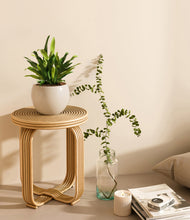 Load image into Gallery viewer, Shiny EggWhite