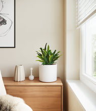 Load image into Gallery viewer, White